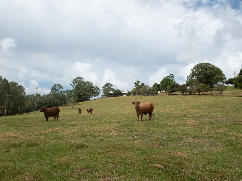 Country Lifestyle Retreat Close To 18