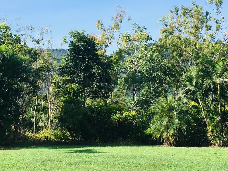 Rare 8 Acre Whitsunday Lifestyle 20