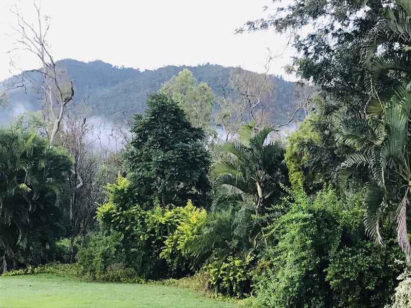 Rare 8 Acre Whitsunday Lifestyle 23