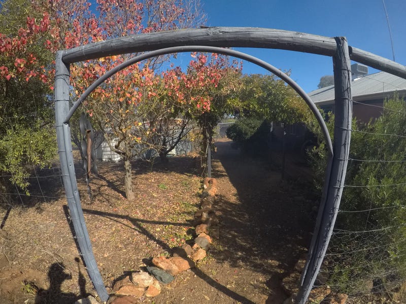 Stream Valley 4