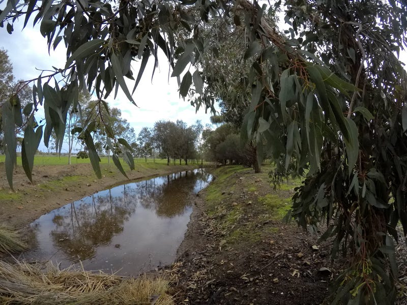 Stream Valley 10