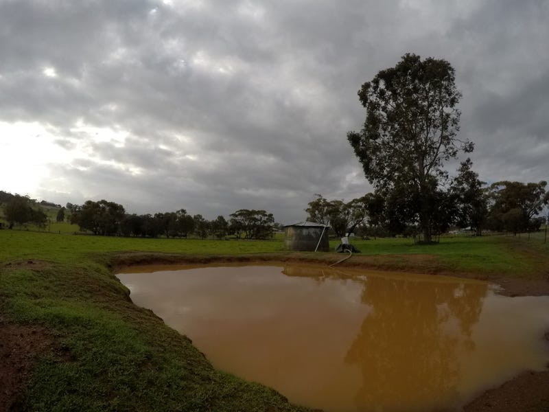 Stream Valley 11