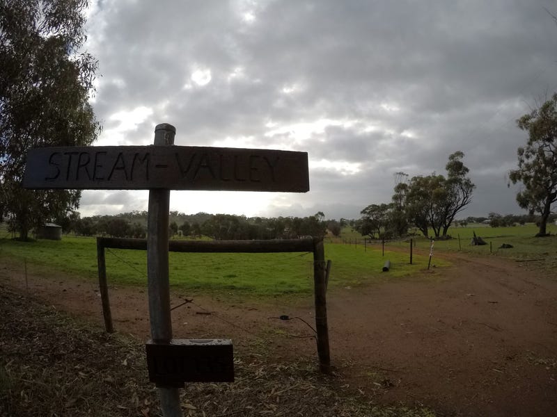 Stream Valley 12