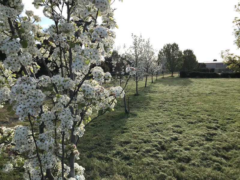Lifestyle Acreage with Space and 5