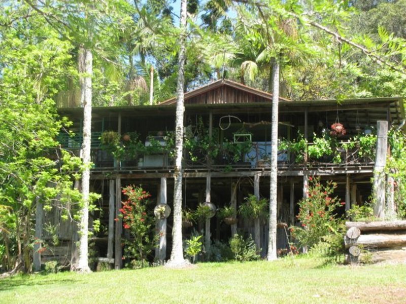 Family Home nestled in the rainforest
