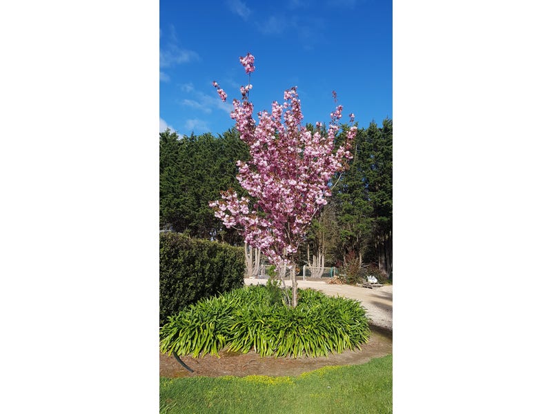 Macedon Ranges lifestyle property with 35