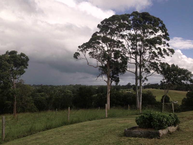 Beautifully restored Queenslander on 40 22