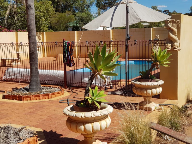 GOLDFIELDS GRANDEUR on large block 27