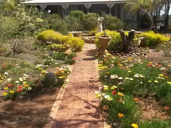 GOLDFIELDS GRANDEUR on large block 29