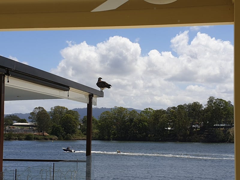 Hidden Gem at Sea Eagle 21