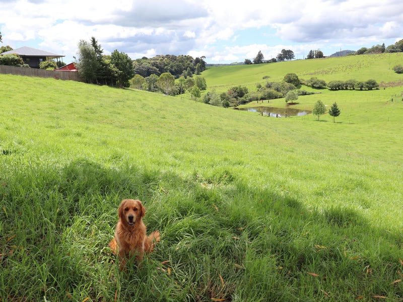 Hobby farm, business or just 9
