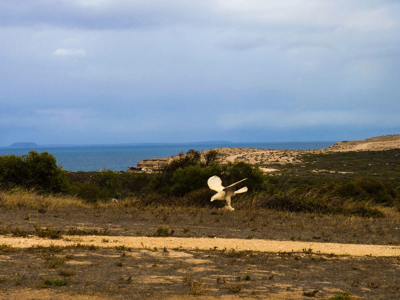 Coastal retreat on the Eyre 4