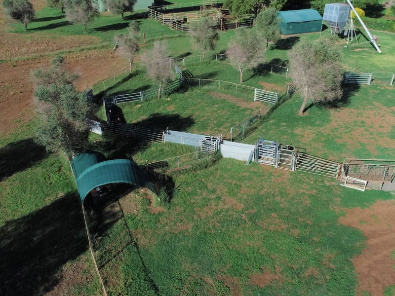 UNDER CONTRACT Easy country lifestyle 19