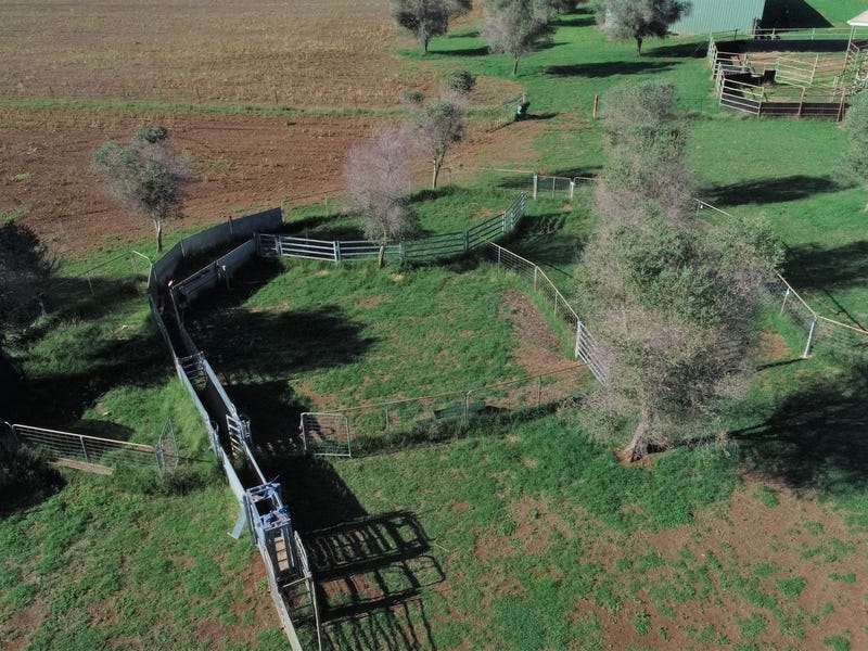 UNDER CONTRACT Easy country lifestyle 20
