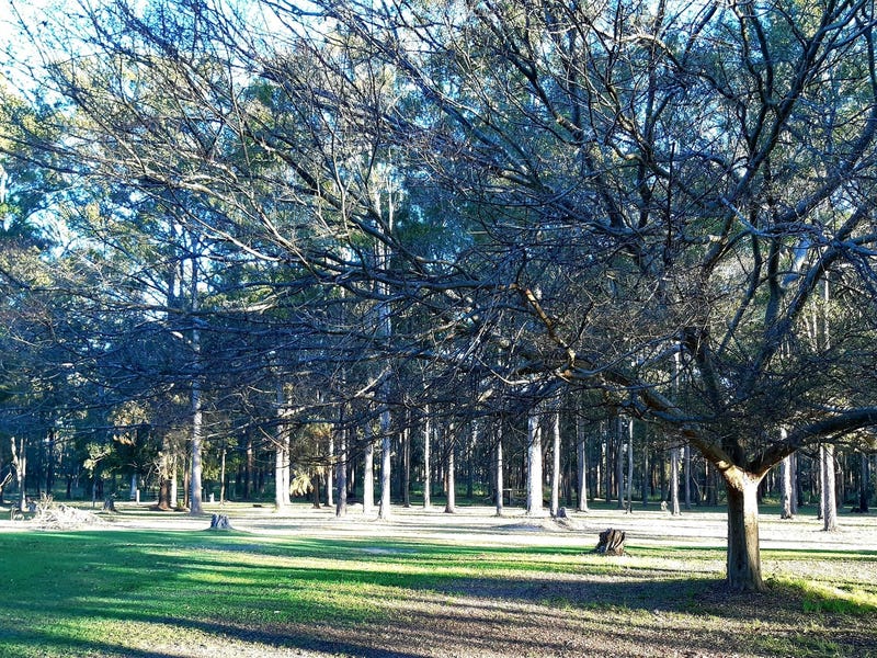 Aldavilla Acres ! 20