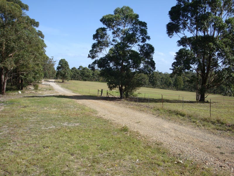 Eco, off grid, mudbrick eden
