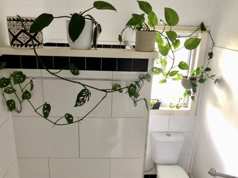 Charming 1950s high-set home 5