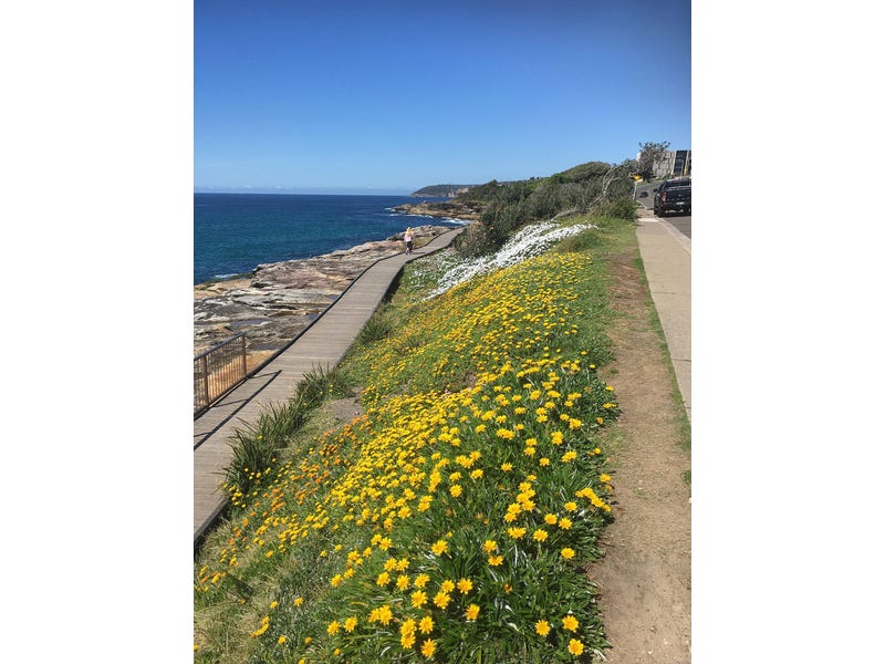 RARE FRESHWATER OCEANFRONT. COMMANDING HEADLAND 20