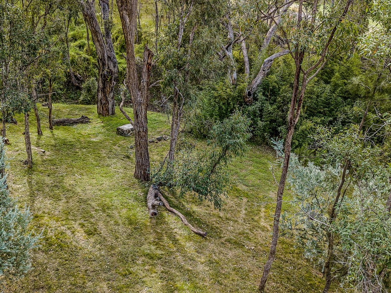 Quiet, Private Bush Lifestyle 19