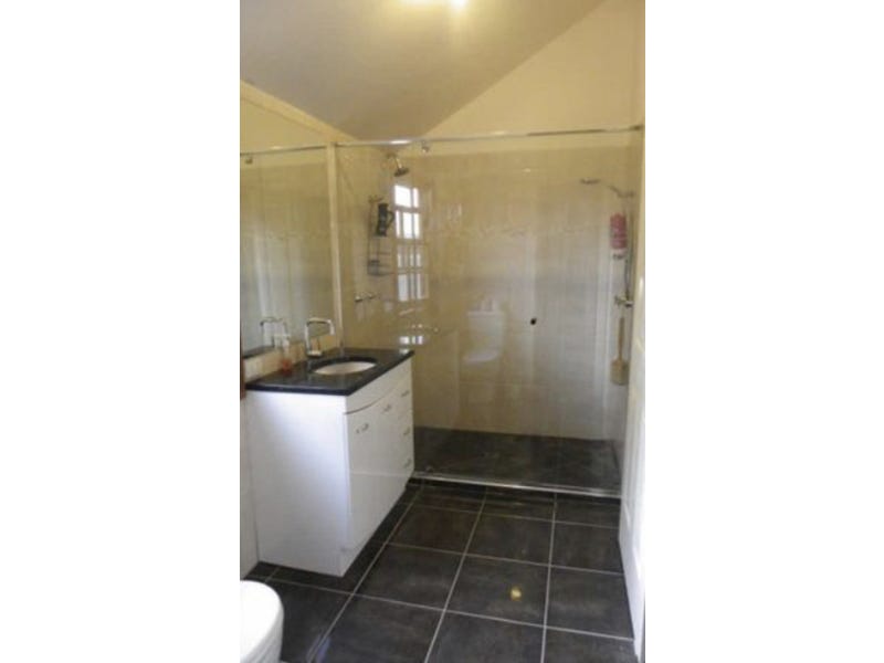 Renovators Delight 5