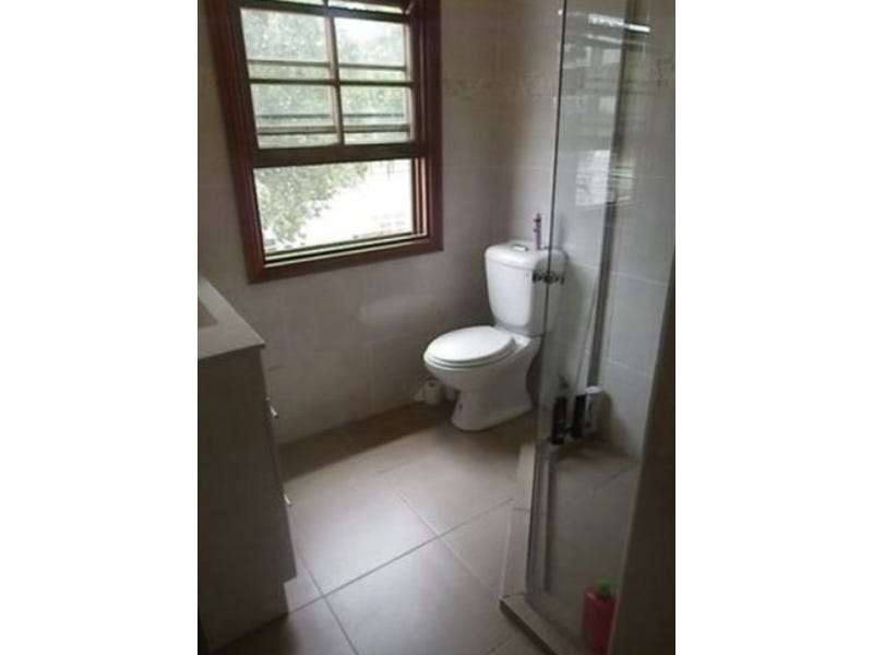 Renovators Delight 8