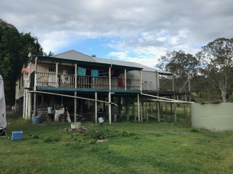 Renovators Delight 13