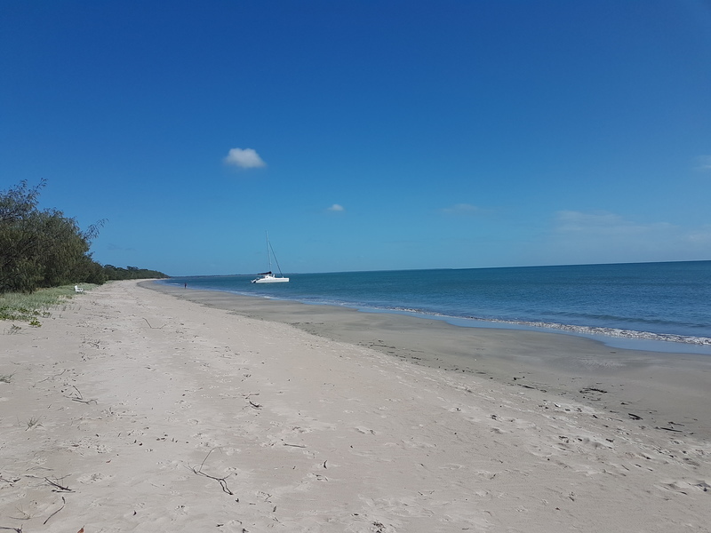 Brand New Beachfront Beauty 19