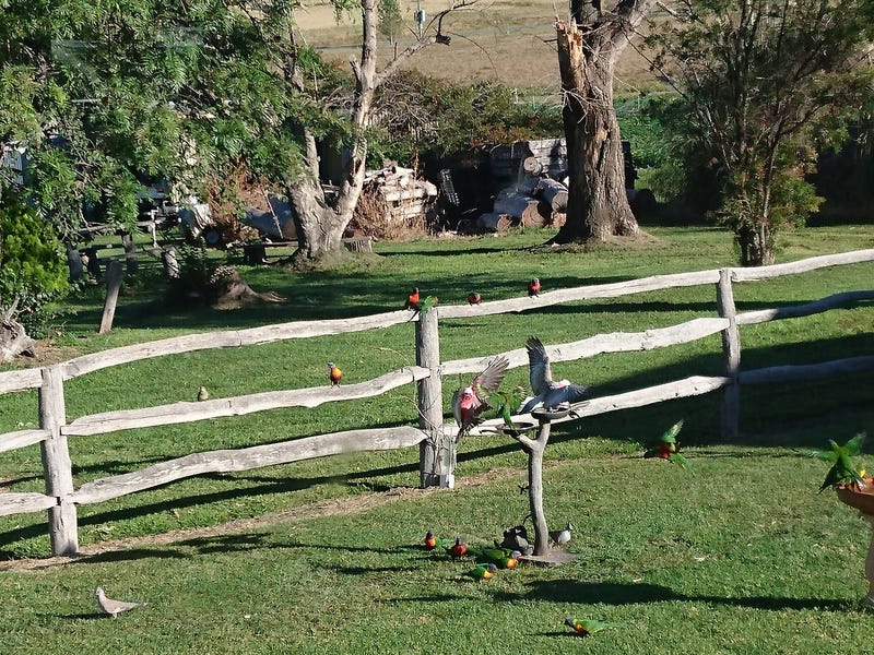 Country Living in Village Setting 26