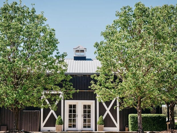 Dark Horse Vineyard 2