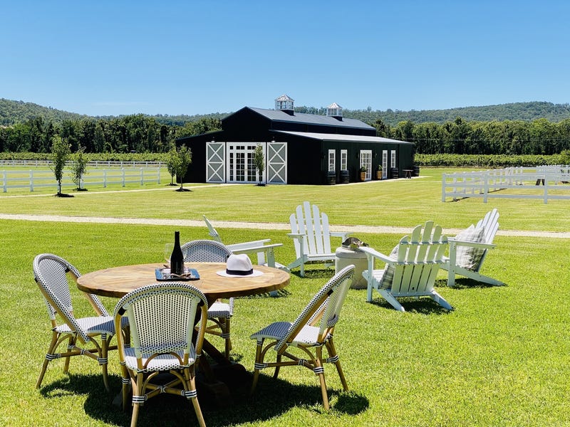 Dark Horse Vineyard 3