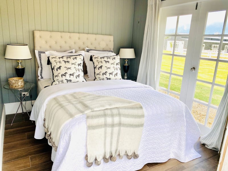 Dark Horse Vineyard 6