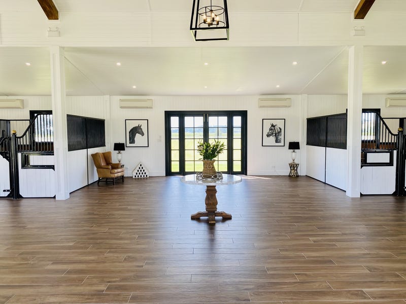 Dark Horse Vineyard 7