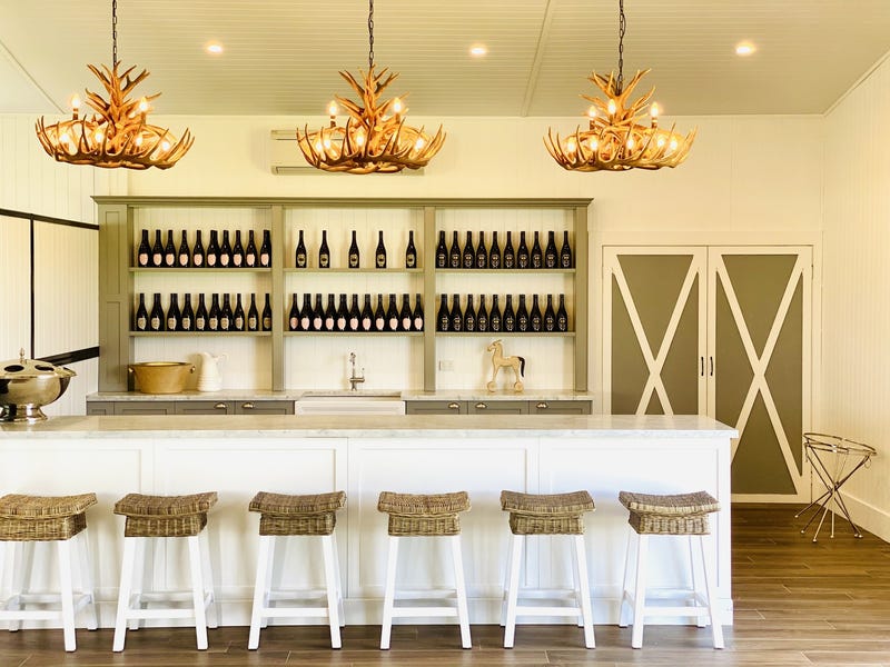 Dark Horse Vineyard 8