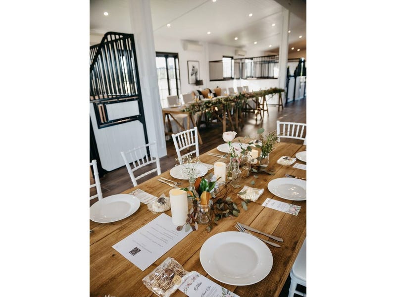 Dark Horse Vineyard 11