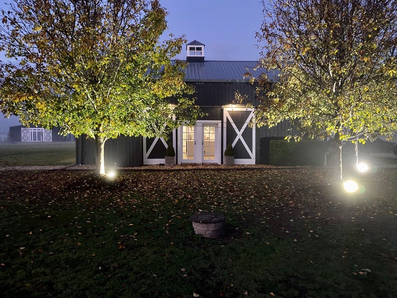 Dark Horse Vineyard 14