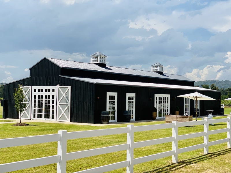 Dark Horse Vineyard 15