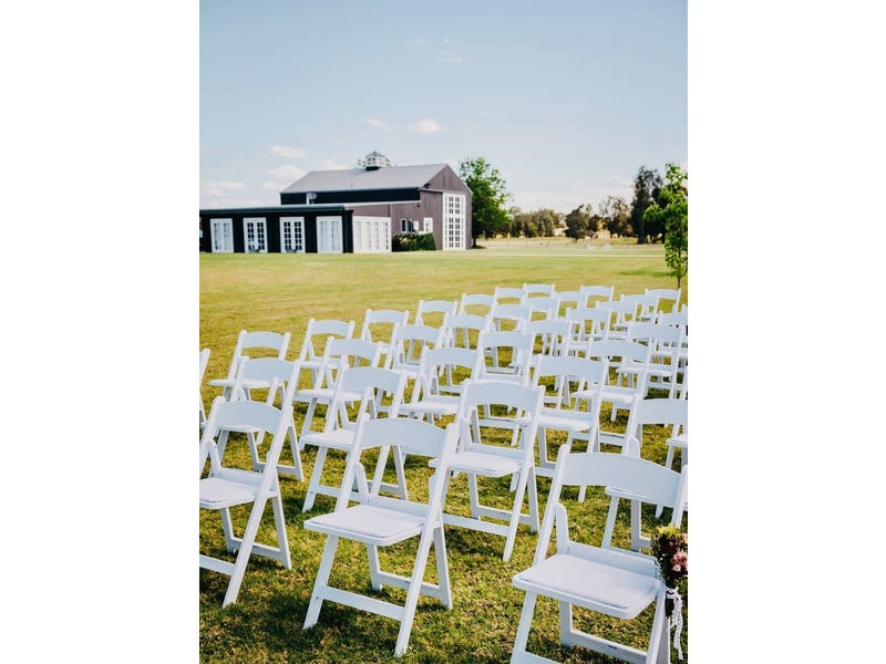 Dark Horse Vineyard 16