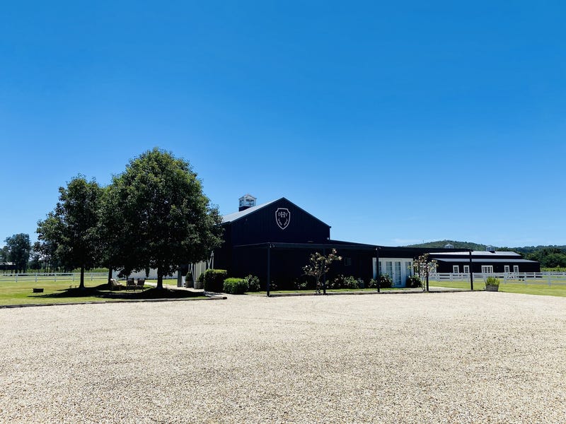 Dark Horse Vineyard 17