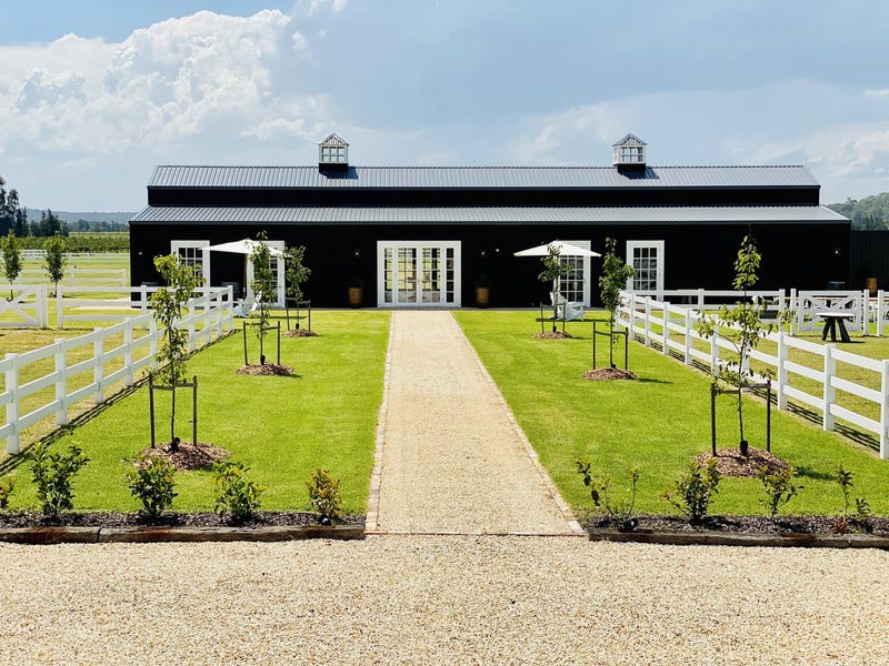 Dark Horse Vineyard 22