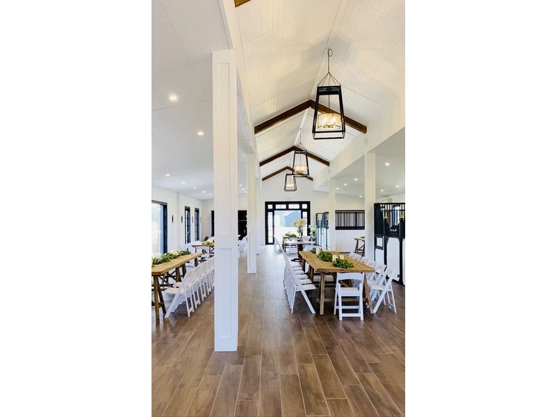 Dark Horse Vineyard 23