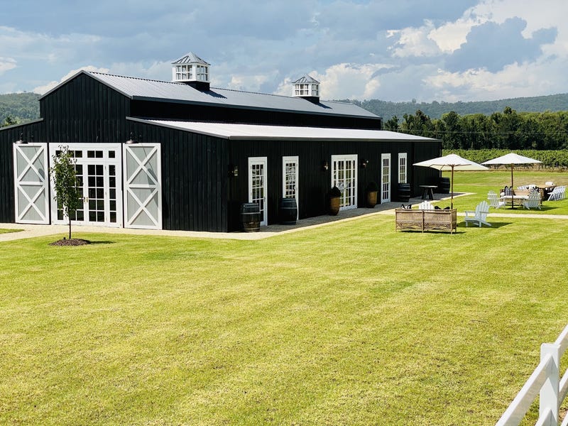 Dark Horse Vineyard 24