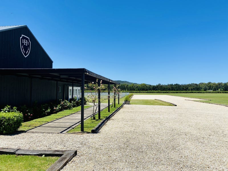 Dark Horse Vineyard 25