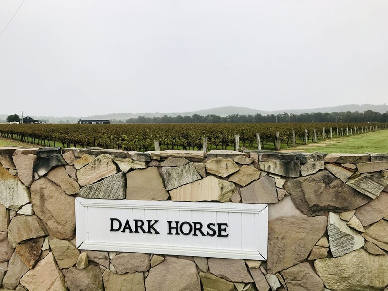 Dark Horse Vineyard 29