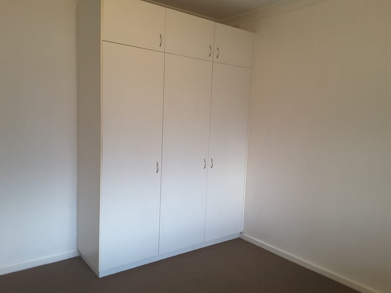 Investor dream 4% return, large 6