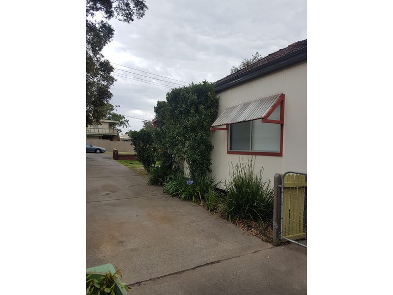 Investor dream 4% return, large 12