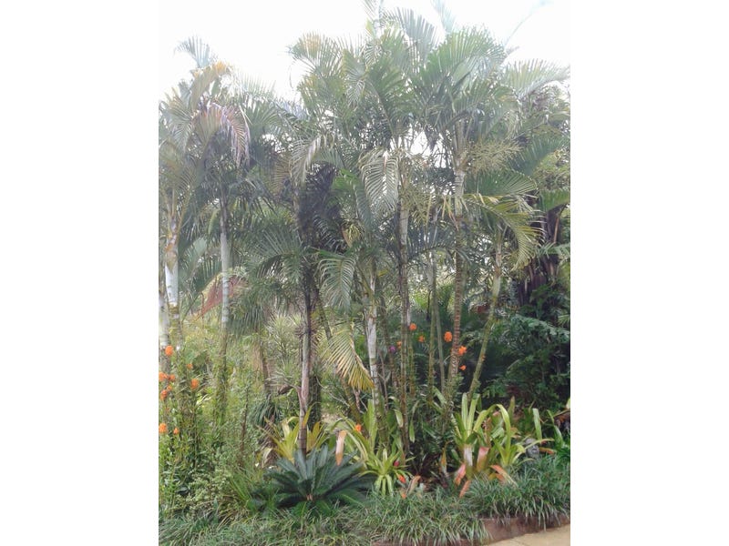 A SECLUDED RETREAT 18