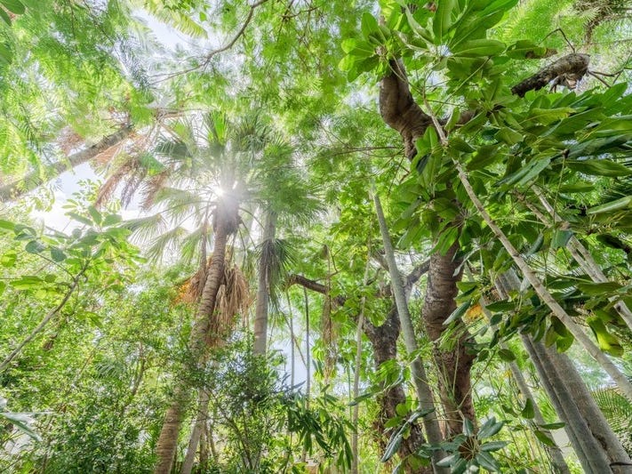 Opportunity Knocks 7