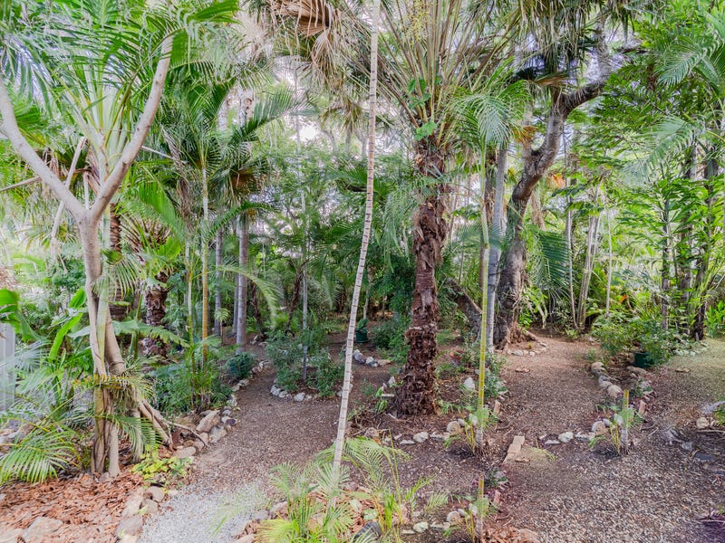 Opportunity Knocks 8