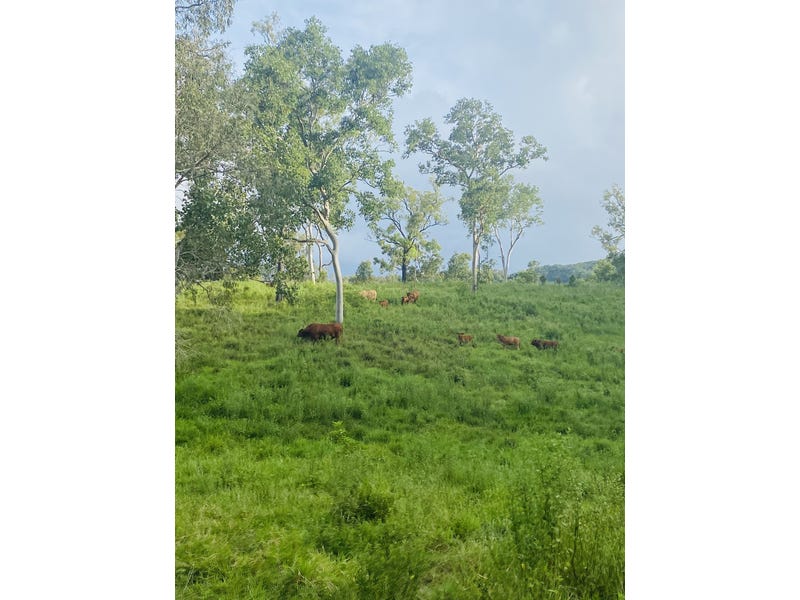 Acreage Property 6
