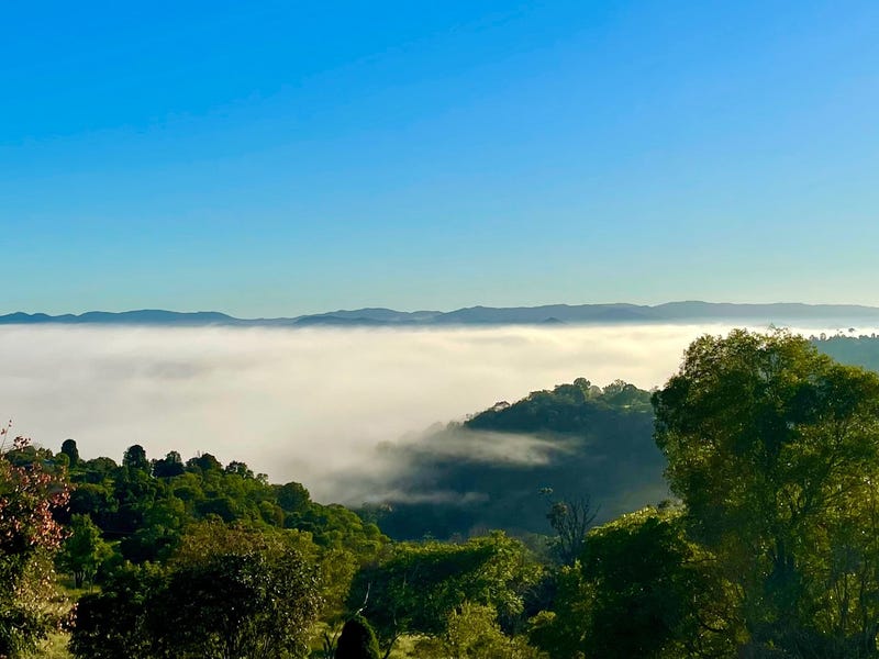 TREE CHANGE with magnificent views